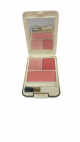 Gf Blusher Make Up Kit Gf 7826